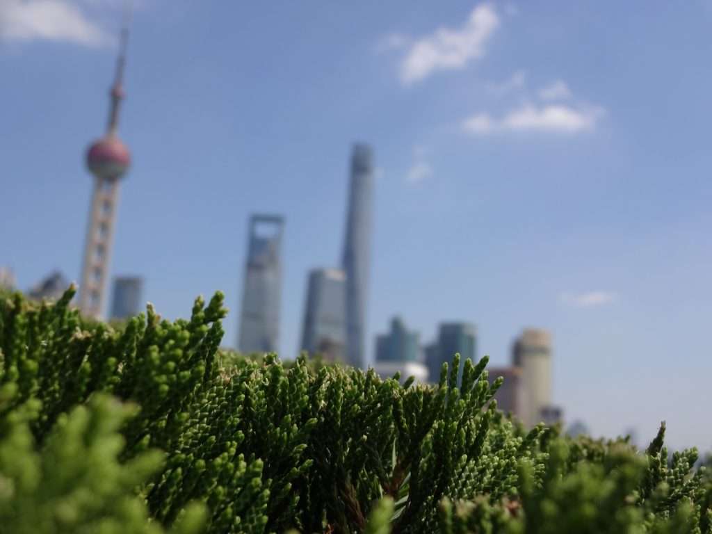 Shanghai Promenade: The Bund