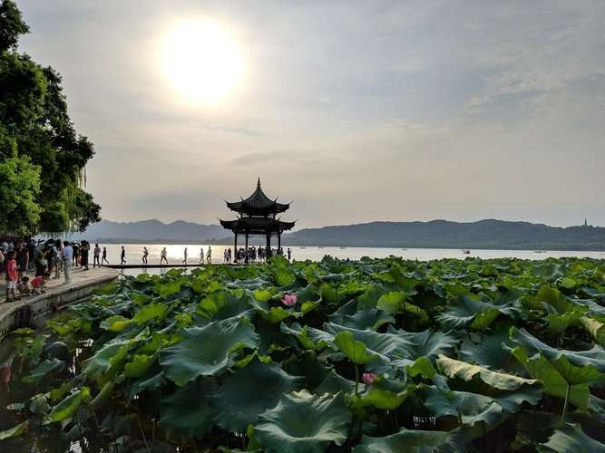 Work in Hangzhou - Natural Gardens